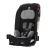 Radian 3R Booster And Convertible Car Seat